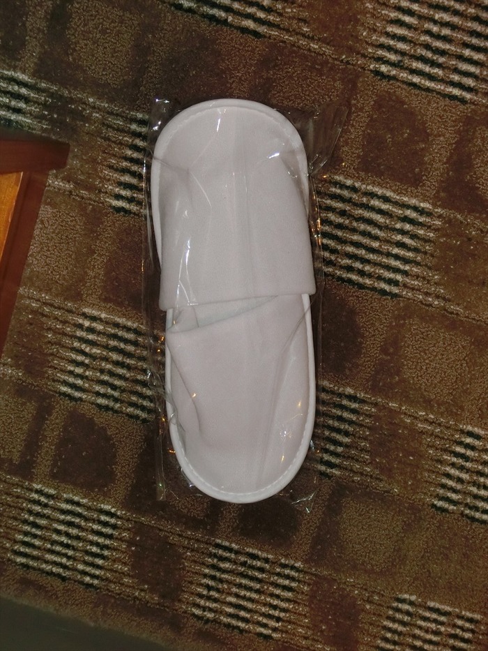 CIMG2692_R