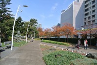 DSC_0137_R