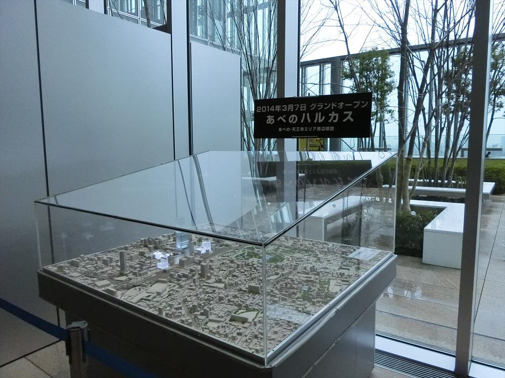 CIMG5522_R