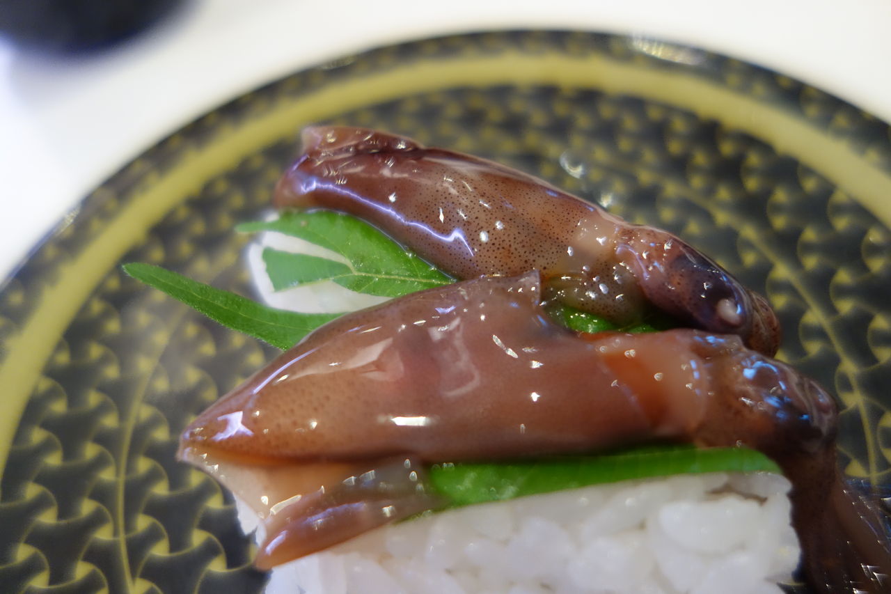 はま寿司の本気の逸品まつりが本気だった 売り切れる前に急げ めざせ ぎんこん土佐日記in高知