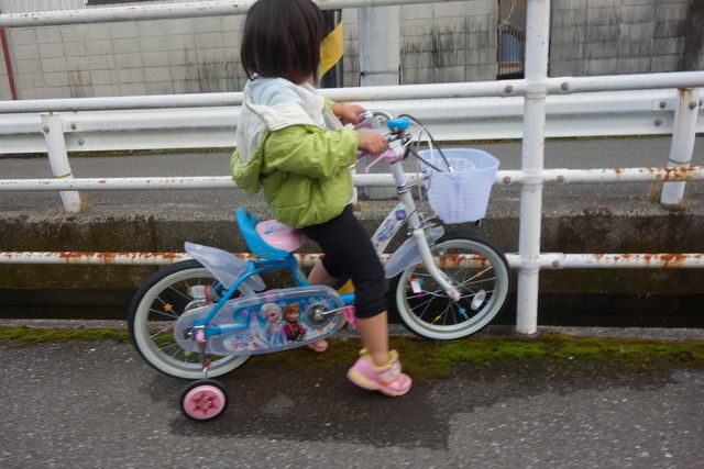 トイザらス プリンセス 自転車