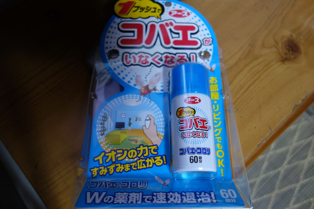ヨメが実家でコバエに激怒 めざせ ぎんこん土佐日記in高知