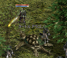 タートルドラゴン