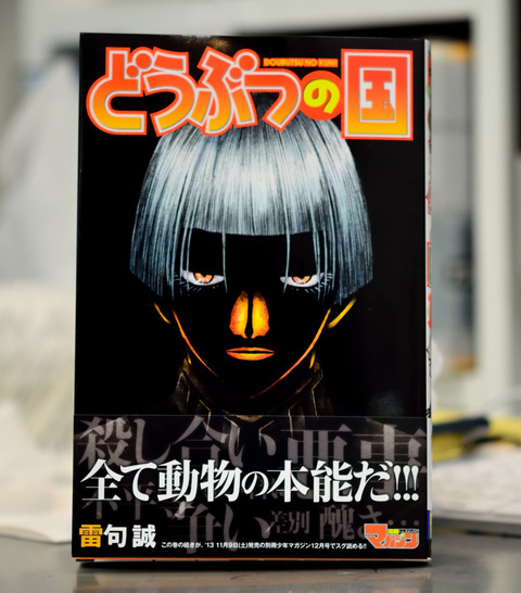 どうぶつ13巻