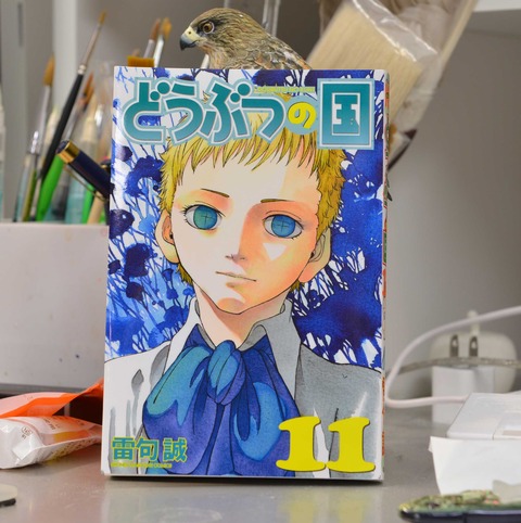 どうぶつ11巻