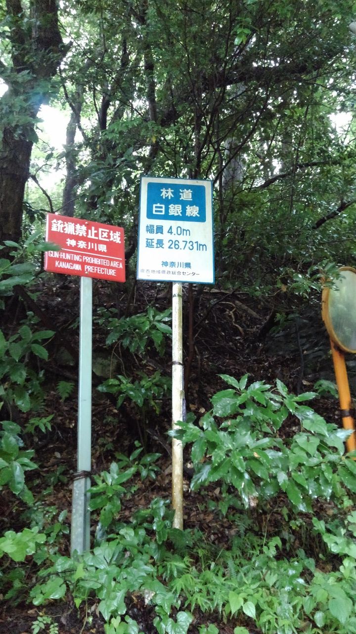 イメージ 12