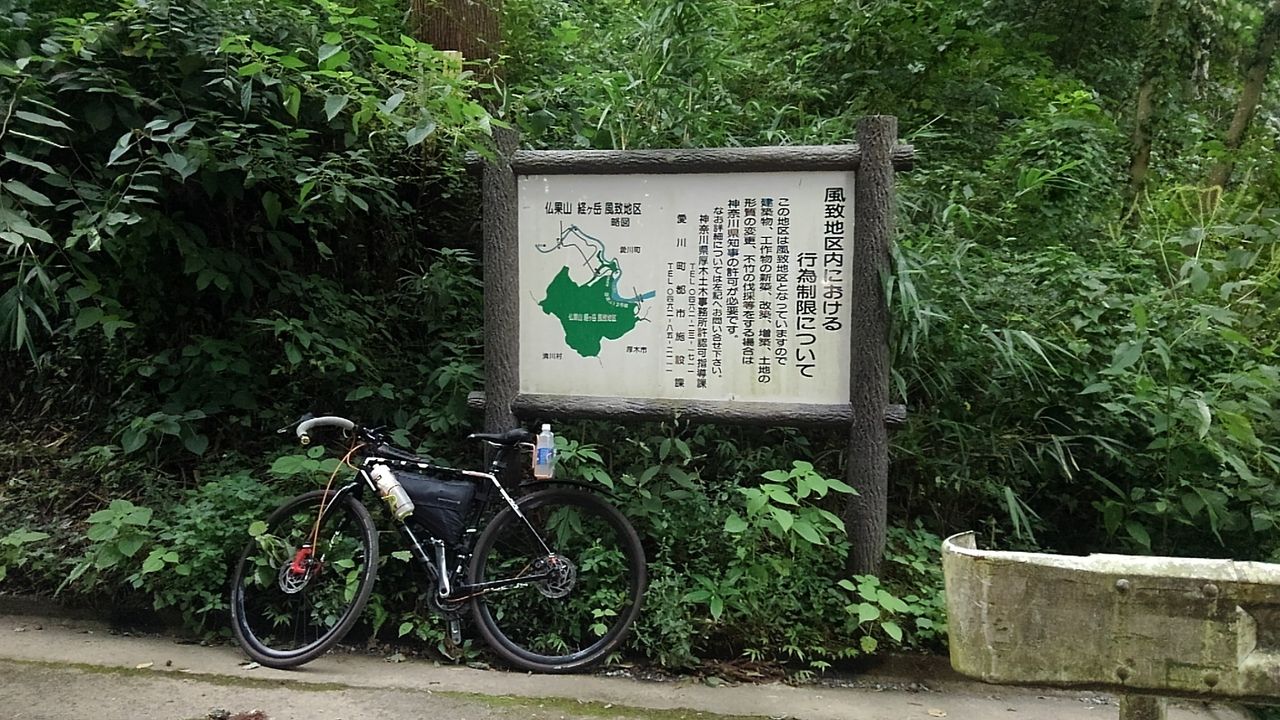 イメージ 5