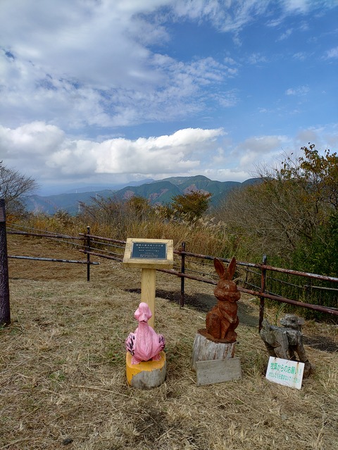 KIMG20231123_110847922