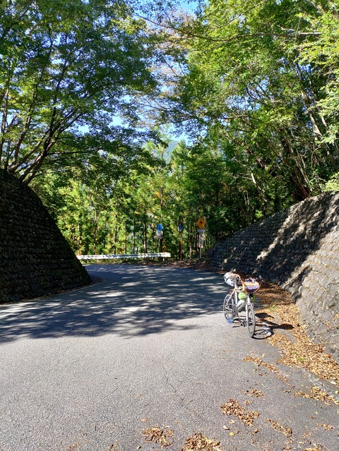 KIMG20241014_100310751