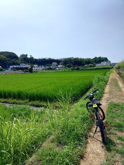 KIMG20240804_100344798