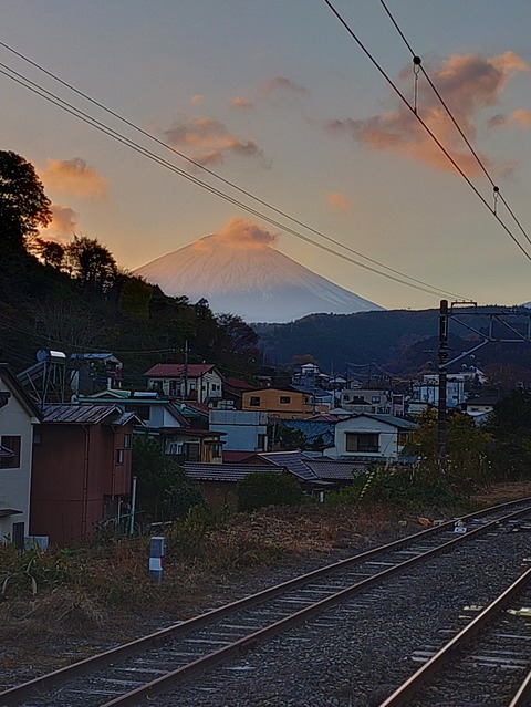 KIMG20231123_162405697