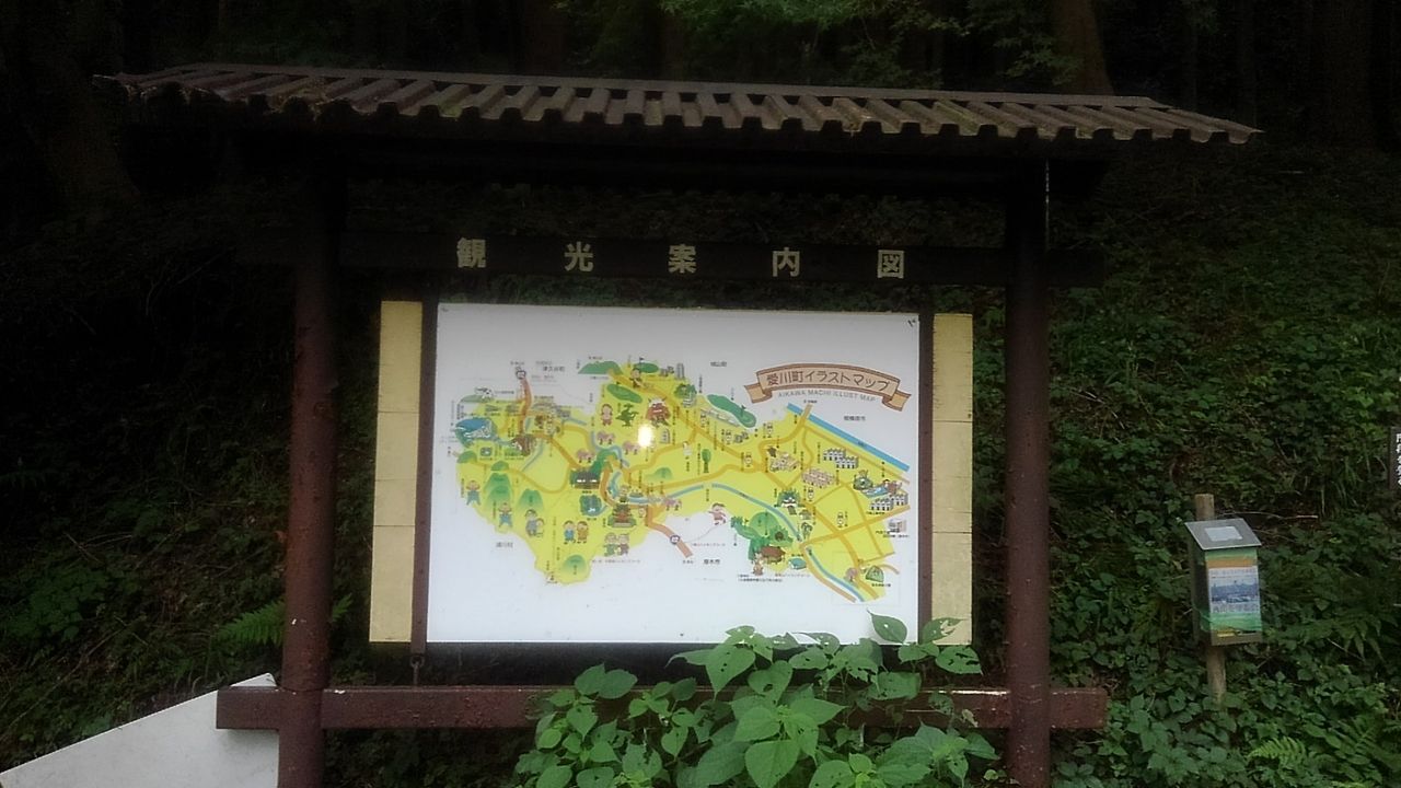 イメージ 11