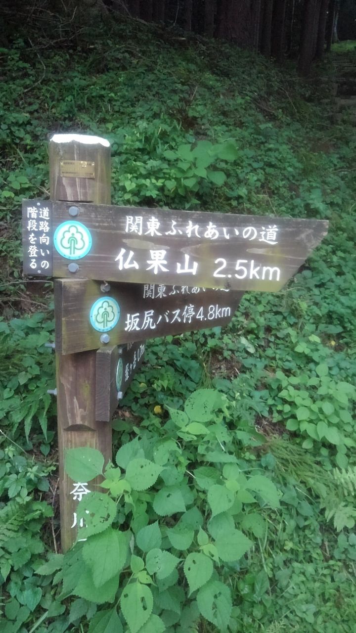 イメージ 12