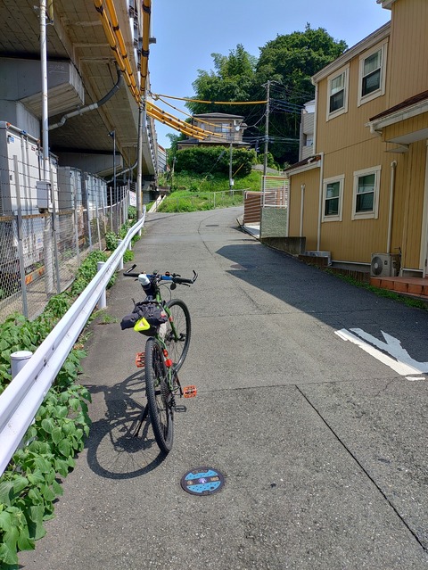 KIMG20240804_100934673