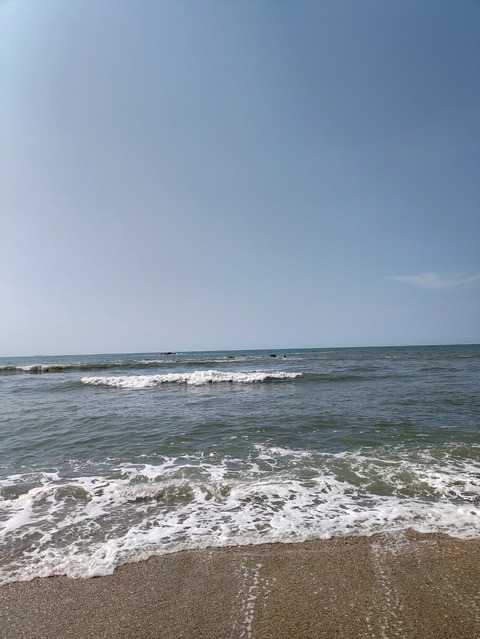 KIMG20240813_090207966
