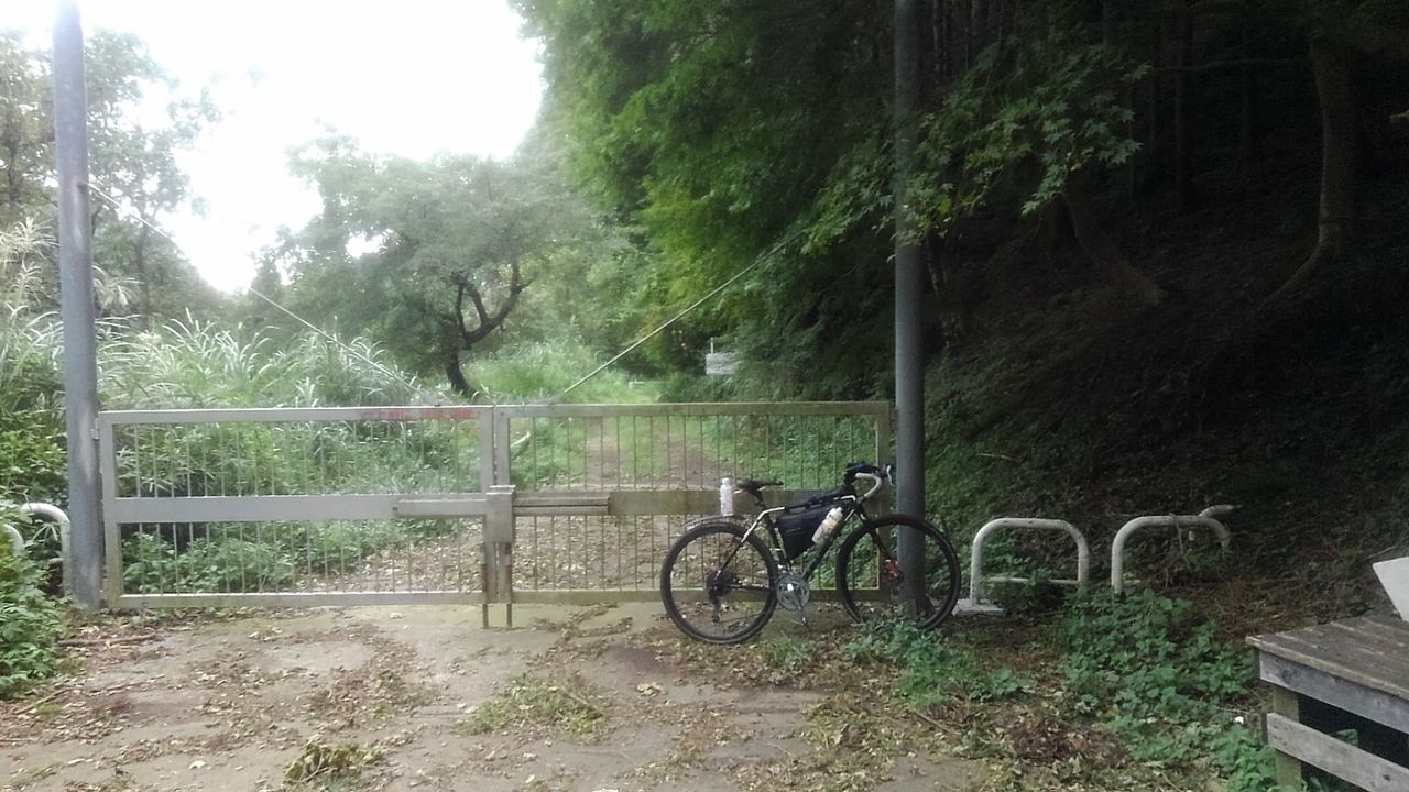 イメージ 10