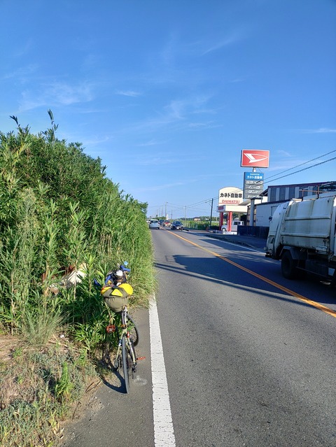 KIMG20240812_163353381