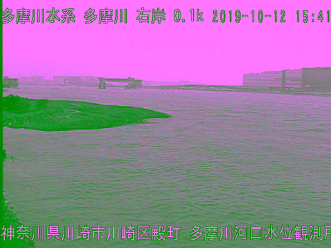 cam_tama-river-Estuary_OBS