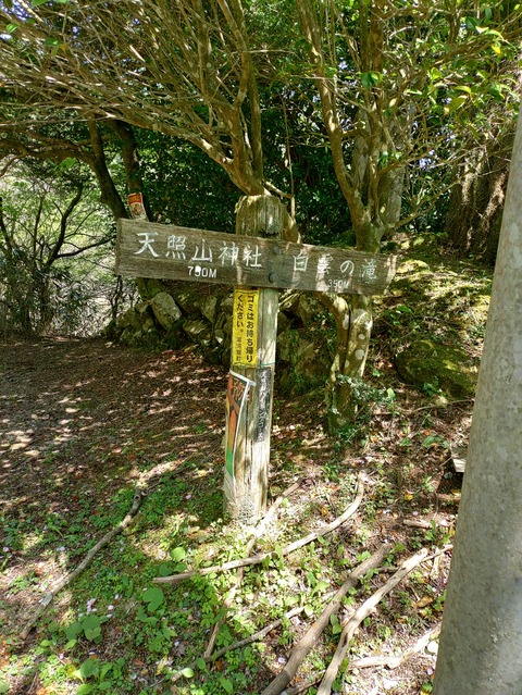 KIMG20240428_133209496