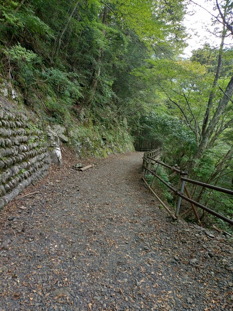 KIMG20241013_155656472
