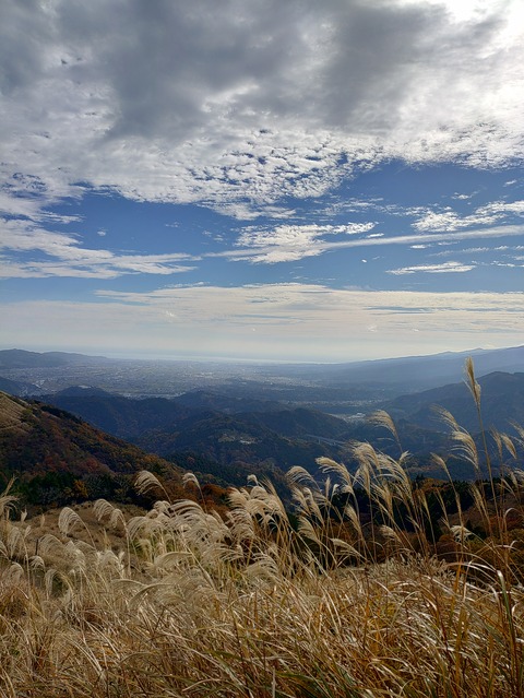 KIMG20231123_111929513