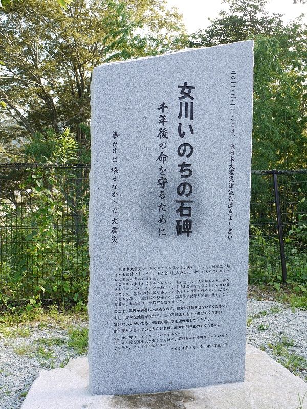イメージ 5