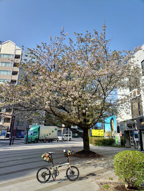 KIMG20240414_080325481