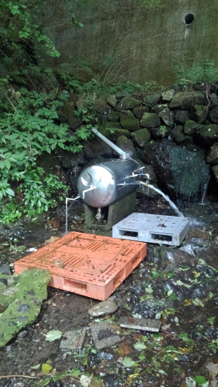 イメージ 7