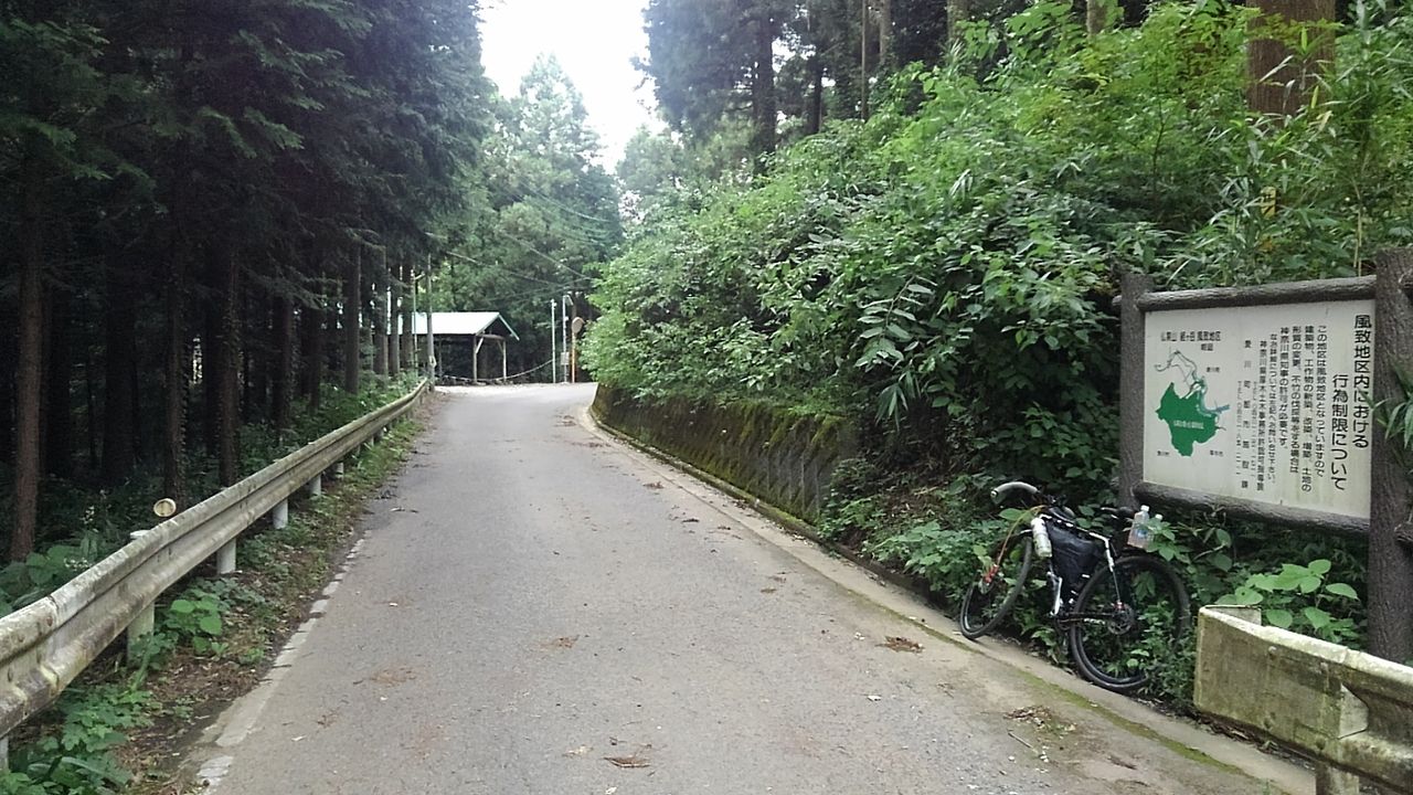 イメージ 6