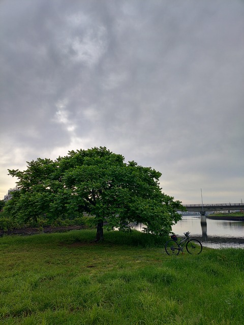 KIMG20240519_063852133