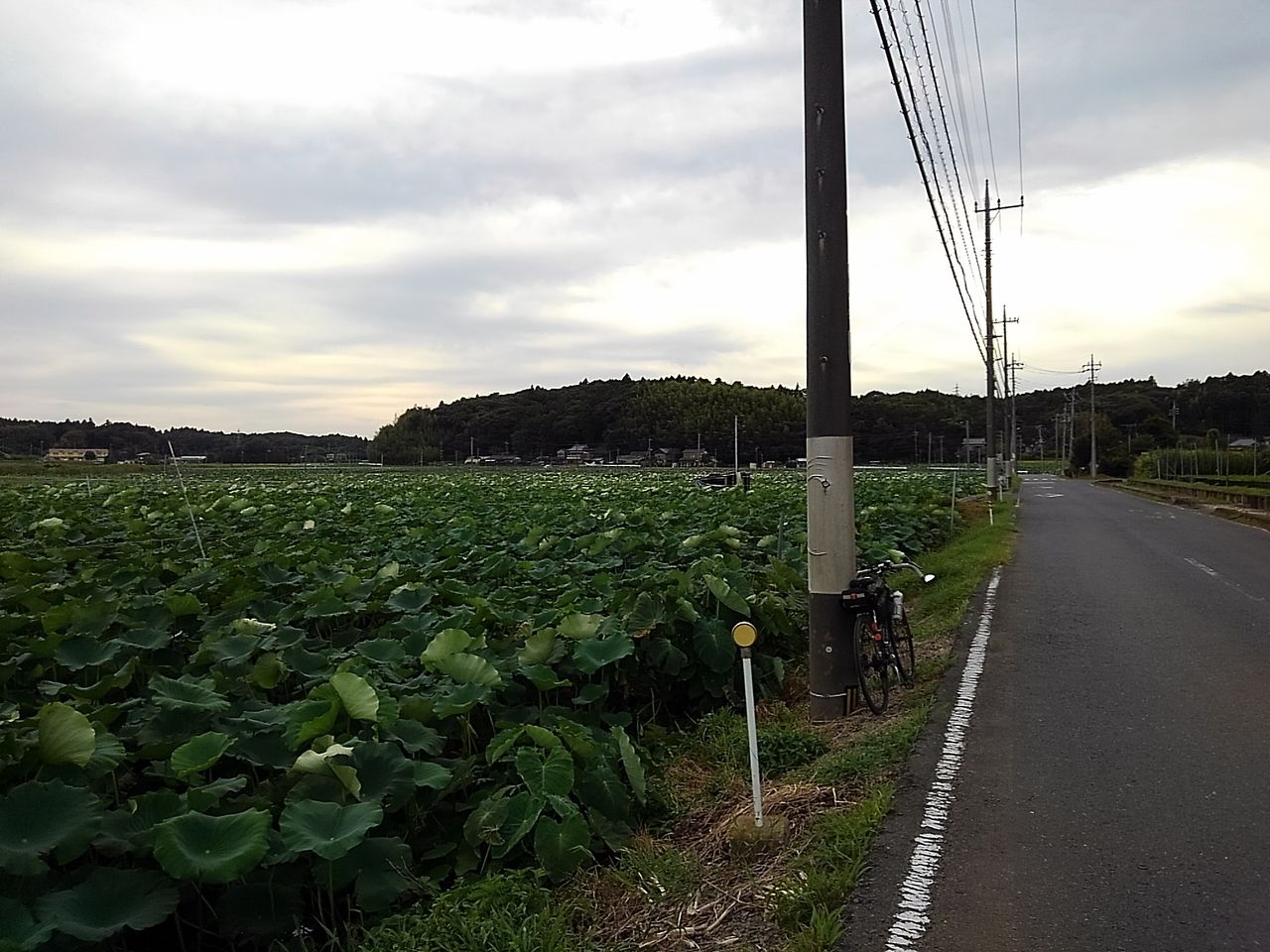 イメージ 11