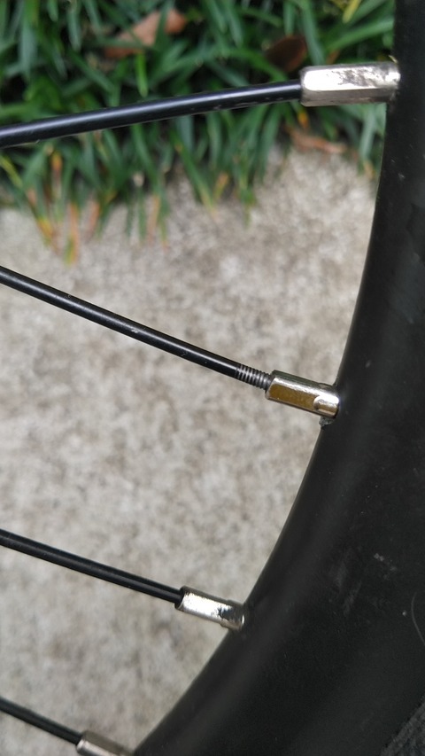 KIMG5875