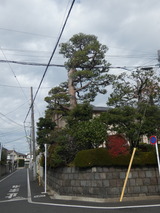 P1000600