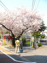 ��������ǯ��������� 040