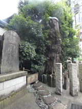 P1020771