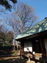 P1020342