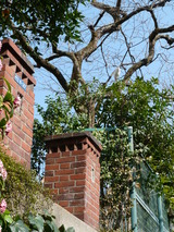 P1010790