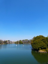 P1000648