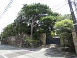P1030319