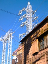 P1000388