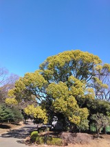 IMG_20250307_101503