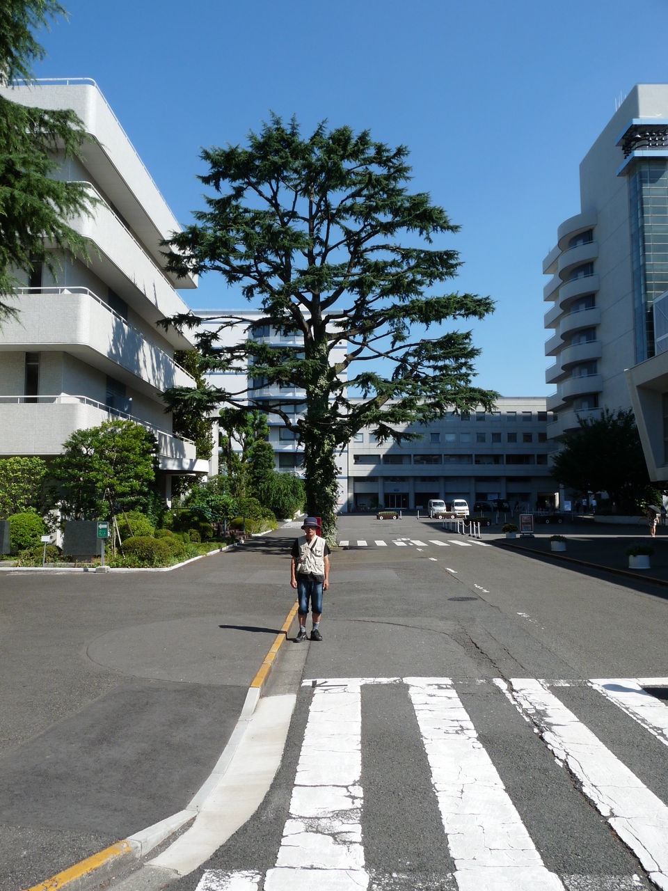 下北沢x新聞 1873 11夏再び駒沢練兵場を巡る Web東京荏原都市物語資料館 下北沢x新聞 1873 11夏再び駒沢練兵場を巡る Web東京荏原都市物語資料館