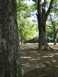 P1000838