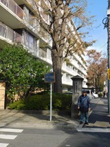 DSCN0805