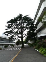 P1000784