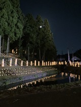 fe4cfb01-b123-4a73-bdc5-b72691176e63