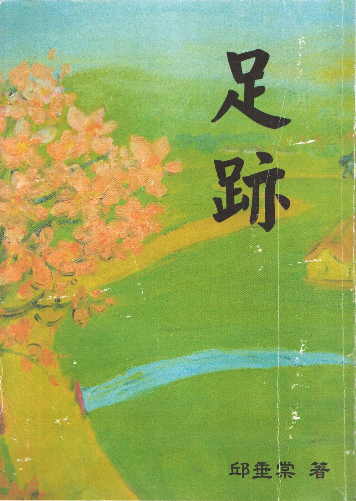 高級感 ジャンク 書き込みあり 不耕起でよみがえる 岩澤信夫 Mojeirysy Pl