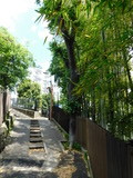 DSCN0506