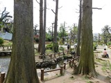 DSCN0048