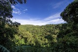 uganda-2111153_960_720